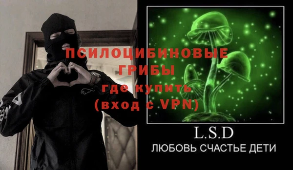 дживик Гусиноозёрск