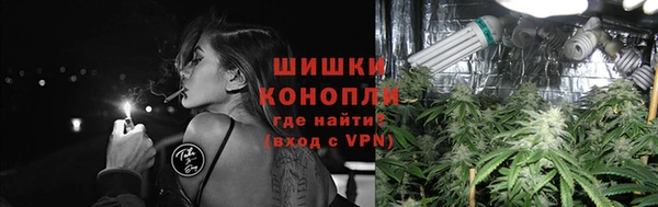 гидра Горно-Алтайск