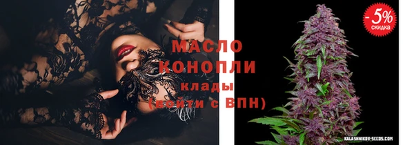винт Гусь-Хрустальный