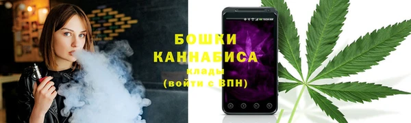 дживик Гусиноозёрск