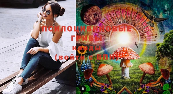 винт Гусь-Хрустальный