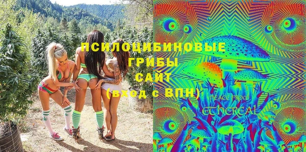 скорость Гусев