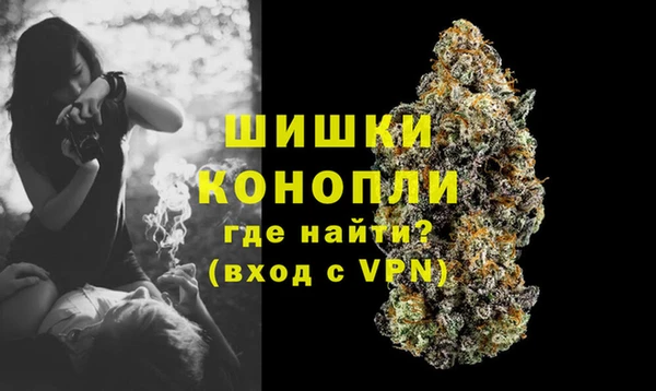 дживик Гусиноозёрск