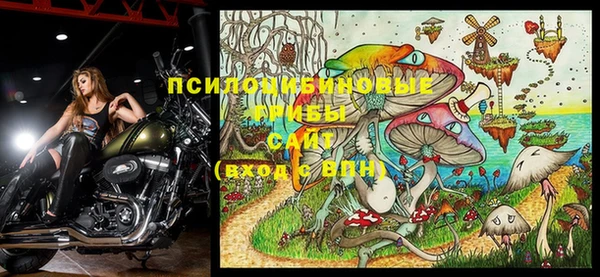 скорость Гусев