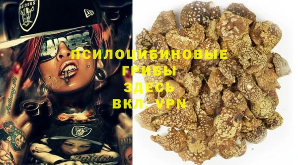 винт Гусь-Хрустальный
