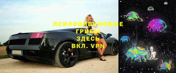 винт Гусь-Хрустальный